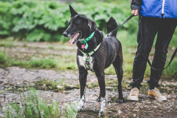 Уникальная Шерри в Москве фото 30