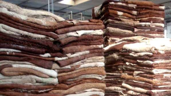 Sell cattle hides wholesale