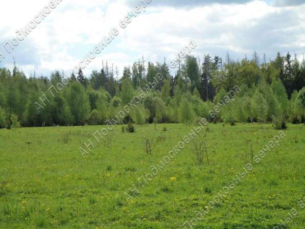 realty_mapper3.plot_in_locationПлощадь 253.00 сот.Есть Электричество, Газ. в Москве