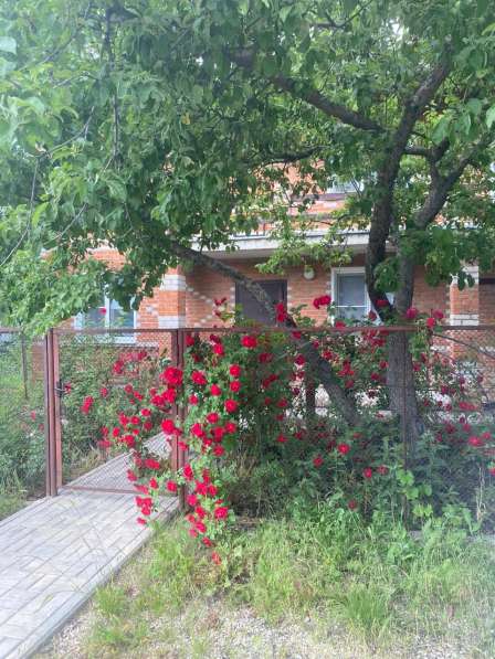 Продам дом в с. Рябинки в Елеце фото 3