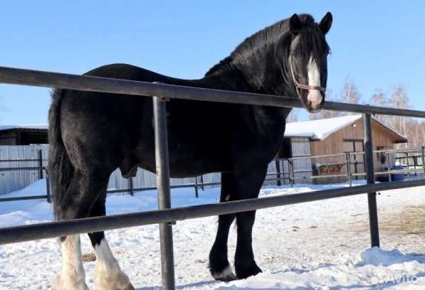 Продам участок, отличное расположение и красивая природа в Тюмени