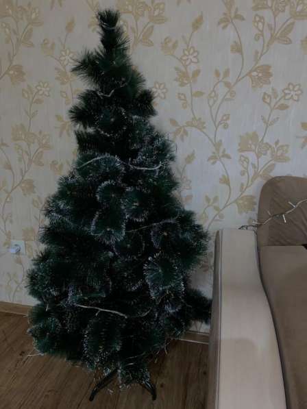 Елочка 160 см в Анапе