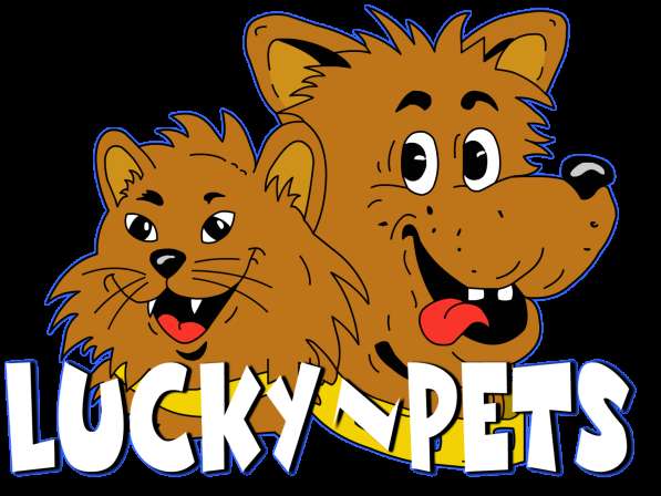 Гостиница для животных (Зооняня. Передержка животных) в Серпухове фото 4