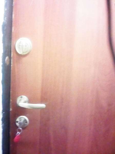 Дверь металлическая входная в Красноярске