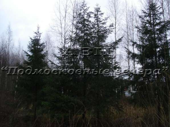 realty_mapper3.plot_in_locationСадовое некоммерческое тов-во. Площадь 7.50 сот.Есть Электричество. в Москве фото 9