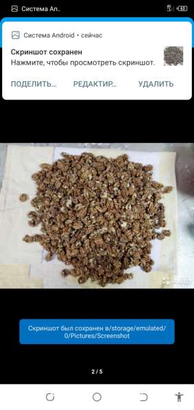 Грецкие орехи кг 550 с торгом в Ростове-на-Дону фото 4