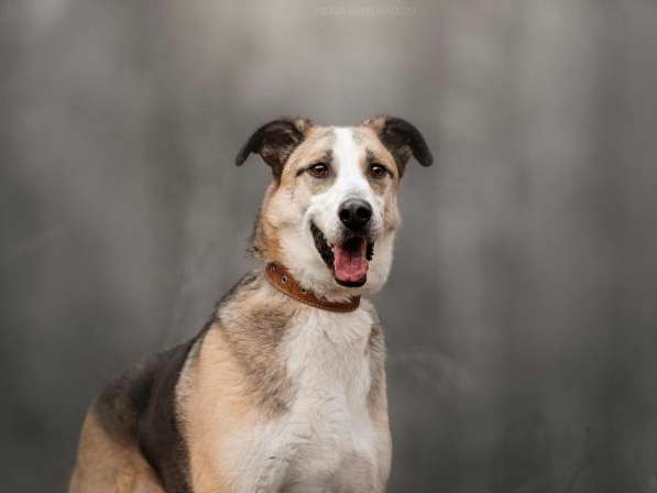 Молодой энергичный Майор ищет семью в Москве фото 42