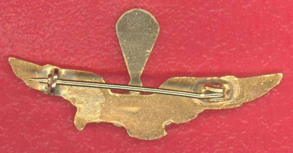 Италия знак Пилот десантного самолета ВВС 22х46 мм в Орле фото 4