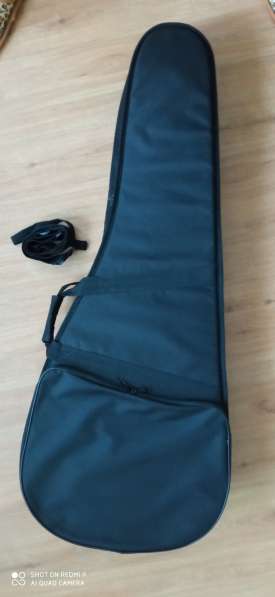 Гитара акустическая Hohner HW 220 SB в утепленном чехле в Балашихе фото 4