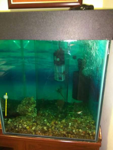 Чистка пресноводных аквариумов в Ульяновске фото 5