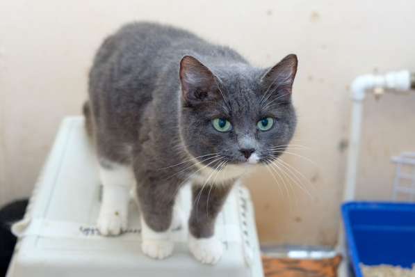 Нежная Пайпер ждет встречи с лучшим другом в Москве фото 4