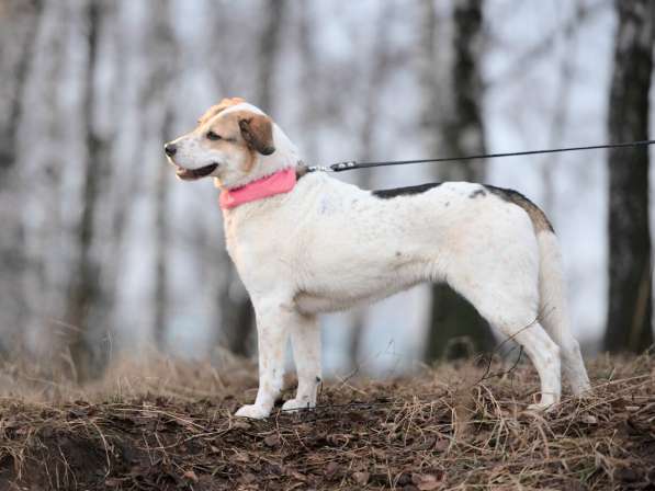 Улыбчивый лучик Фаина ищет семью в Москве фото 27