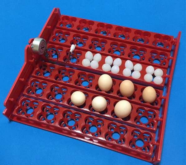Лотки с переворотом для инкубатора на 36-144 яиц универсальн в Астрахани фото 12