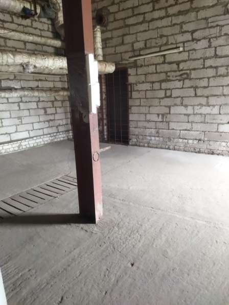 Открытые территории в фото 12