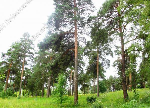 realty_mapper3.plot_in_locationСадовое некоммерческое тов-во. Площадь 5.20 сот.Есть Водопровод. в Москве фото 11