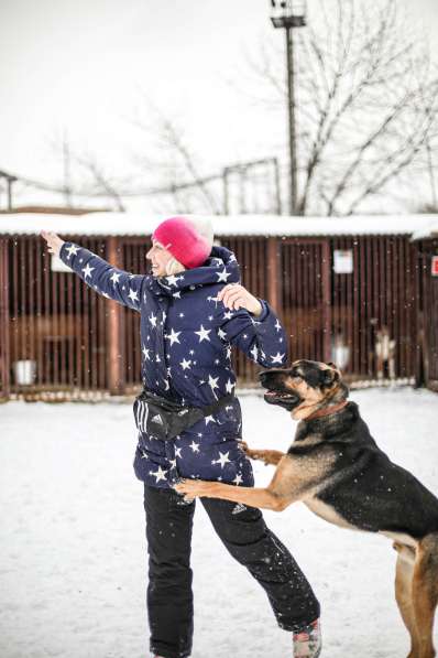 Брюс ищет семью в Москве фото 13