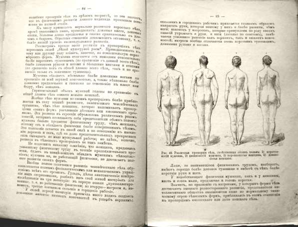 Раритет. Ранке Физические различия человеческих рас 1902 год в Москве фото 8