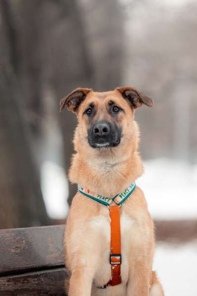 Чудесная Бриа ищет семью в Москве фото 18