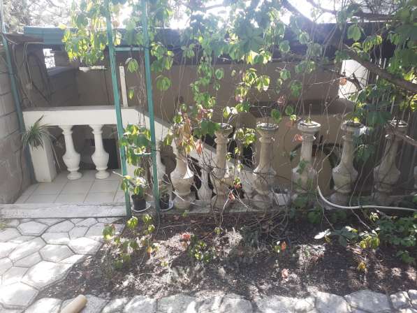 Отдельный номер с двориком в Симеизе в Ялте фото 36