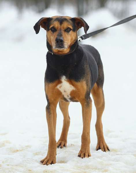 Басти. Изумительный мальчиш в Москве фото 5