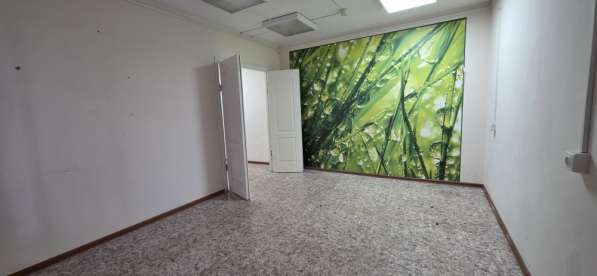 Продам помещение мкр. Александровский д.9 в Елеце фото 9