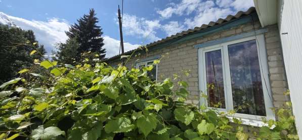 Продам дом в с. Воронец в Елеце фото 5