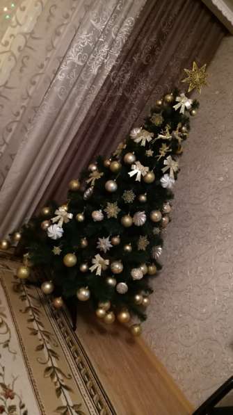 Ёлка в Череповце