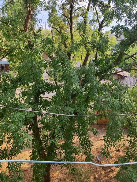 Успей купить 3-х квартиру - спальный р-н Харцызска Коммунист в фото 5