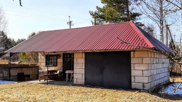 Зимняя дача на берегу живописного озера в Пскове фото 30