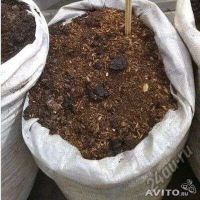 Навоз коровий в Раменское фото 4