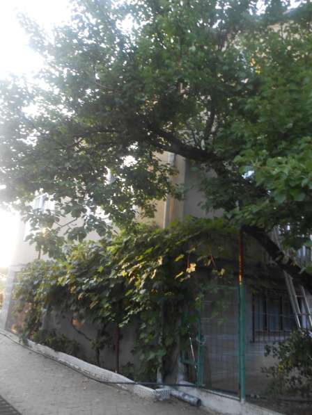 Продам дом двухэтажный в пригороде Ужгорода. 7 км от центра в фото 5
