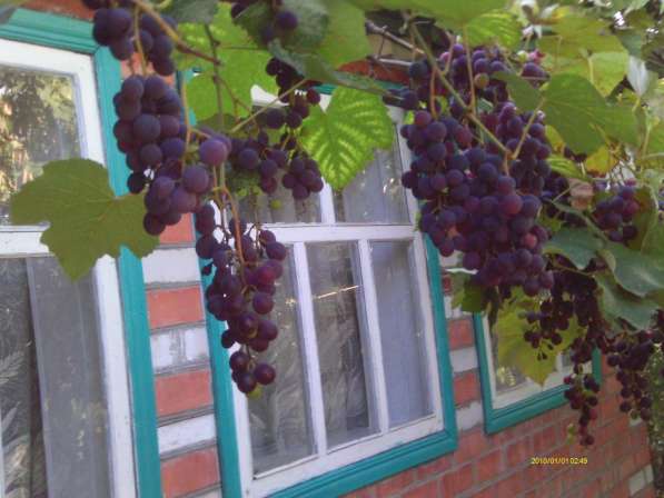 Краснодар 2-х кв-ра Центр ремонт в Краснодаре фото 8