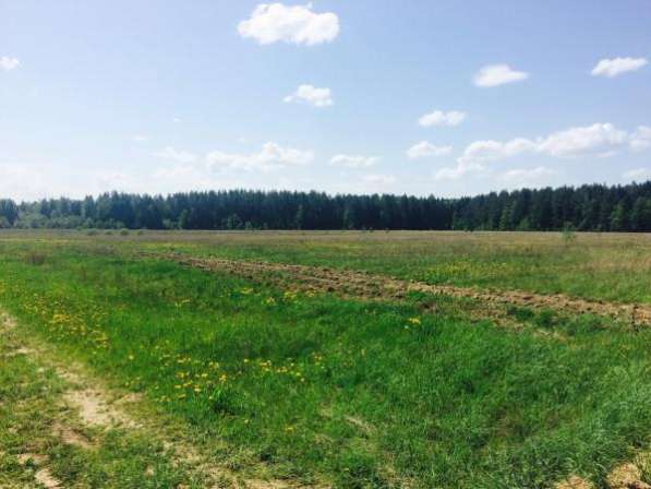 Продается земельного участка 15 соток в деревне Махово, Можайский р-он, 140 км от МКАД по Минскому шоссе
