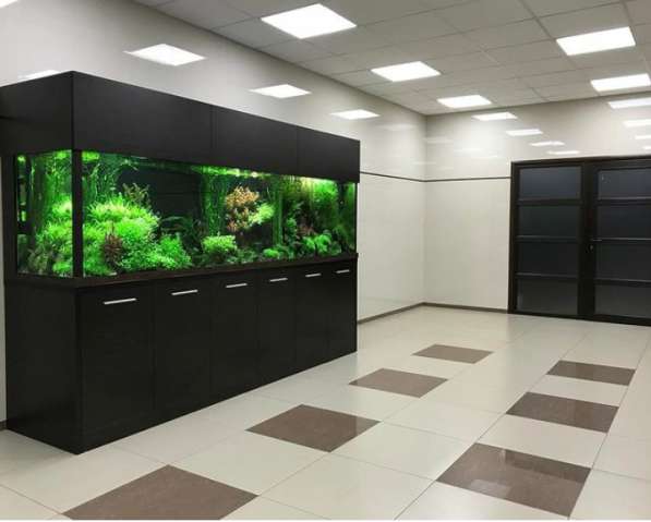 Аквариум с натуральными растениями и рыбками в фото 9