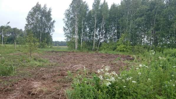 Продажа участка земли в СНТ собственником в Дмитрове фото 14