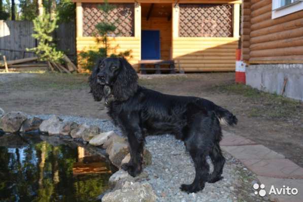 Кавалер приглашает даму