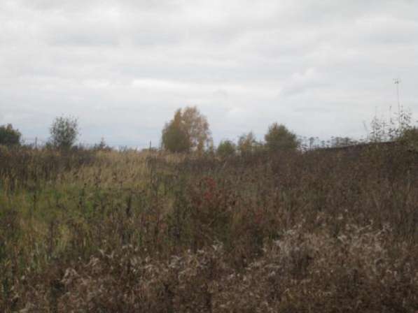 Продается земельный участок 12 соток ЛПХ в д. Троица, Можайском р-он,119 км от МКАД по Можайскому шоссе. в Можайске фото 3