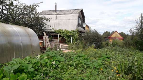 Продам садоогород в Ижевске фото 9