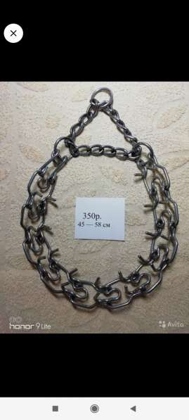 Ошейник строгий в Новосибирске фото 6