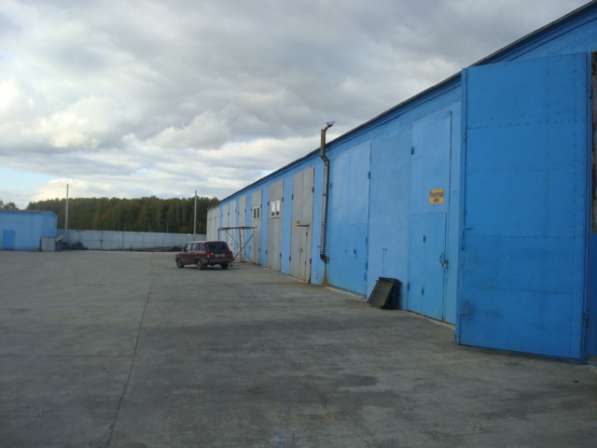 Продажа комплекса производственных помещений в Домодедове фото 26