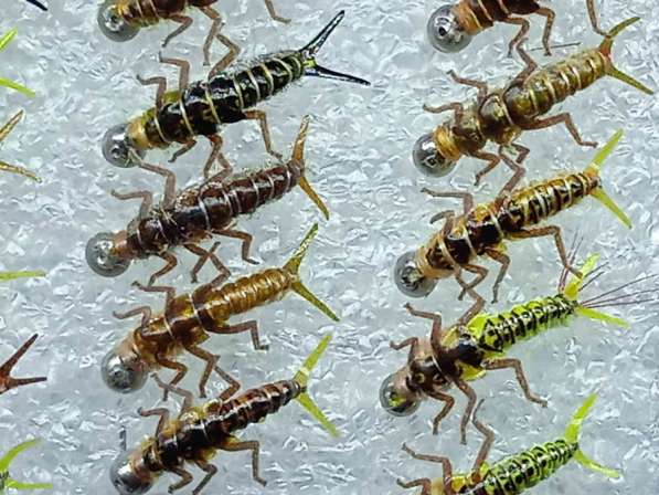 Мушки и нимфы в Ухте фото 14