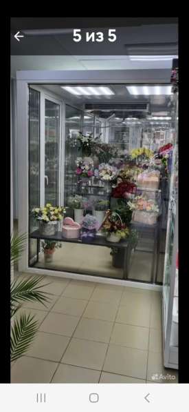 Холодильная камера для цветов бу СПб в Санкт-Петербурге фото 4