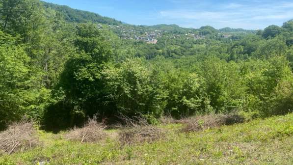 Продам участок 5 соток в Хостинском районе в Сочи фото 4