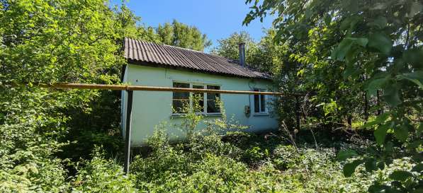 Продам дом в с. Измалково в Елеце фото 11