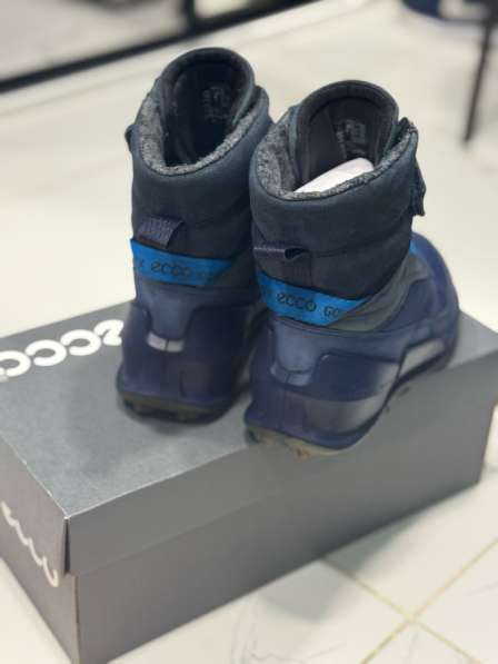 Сапоги Ecco в Сургуте