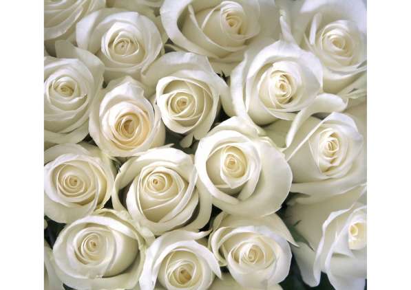 Прoдаю новые фотообои в Краснодаре фото 5