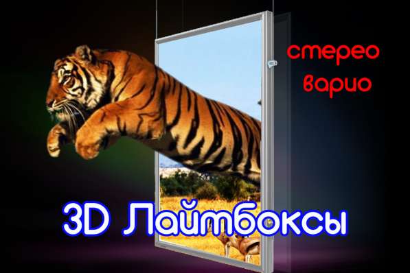 Живой лайтбокс в фото 4