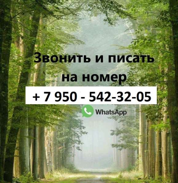 Сдам 1-комнатную квартиру. Можно студентам в Красном Сулине фото 4