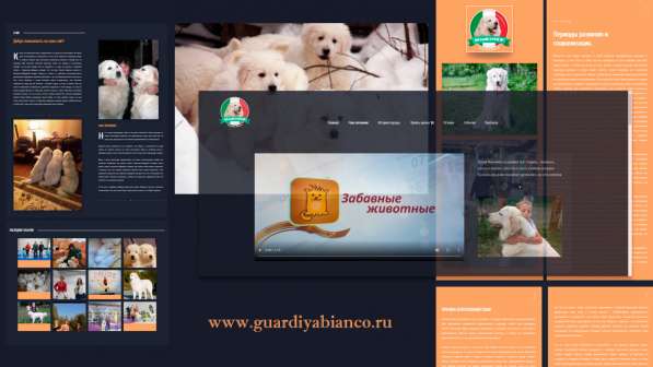 Создание сайтов и интернет-магазинов в Москве фото 6