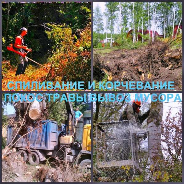 Расчистка участка, спил, удаление деревьев, покос травы в Егорьевске фото 3